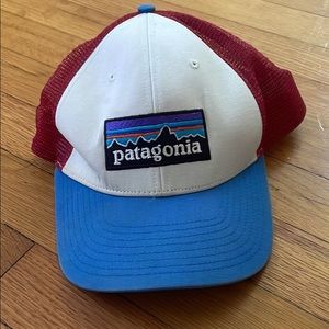 Patagonia Trucker Hat